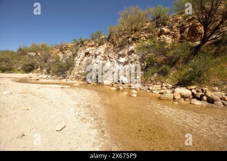 Le grand espace ouvert du glorieux Catalina State Park, Oro Valley, Arizona (USA). Caractéristiques naturelles, espace ouvert, appel esthétique, paysage, pittoresque Banque D'Images