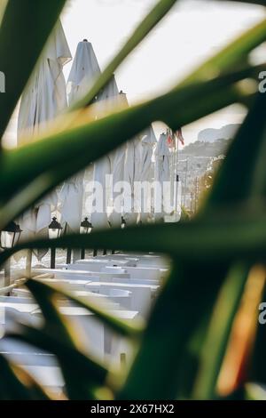 Vue sur la terrasse d'un restaurant à Menton en bord de mer, à travers des feuilles de palmier Banque D'Images