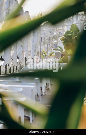 Vue sur la terrasse d'un restaurant à Menton en bord de mer, à travers des feuilles de palmier Banque D'Images