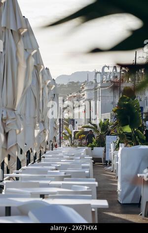 Vue sur la terrasse d'un restaurant à Menton en bord de mer, à travers des feuilles de palmier Banque D'Images