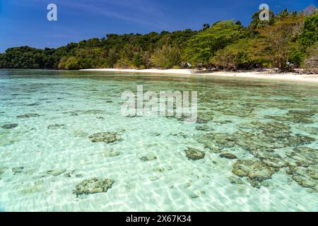 Récif corallien sur la plage de rêve d'Ao-niang sur l'île de Koh Kradan dans la mer d'Andaman, élue la plus belle plage du monde en 2023, Thaïlande, Asie Banque D'Images