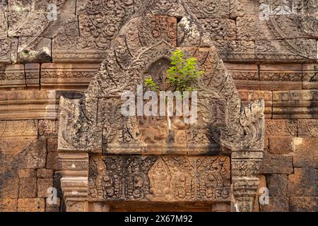 Soulagement avec Shiva et Parvati sur le taureau Nandi au-dessus de la fausse porte du temple de montagne Wat Phu, province de Champasak, Laos, Asie Banque D'Images