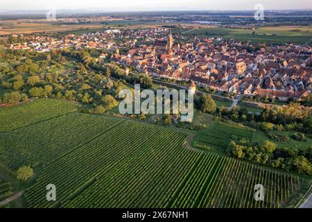 Vue sur le vignoble et la ville de Bergheim vue des airs, Alsace, France Banque D'Images