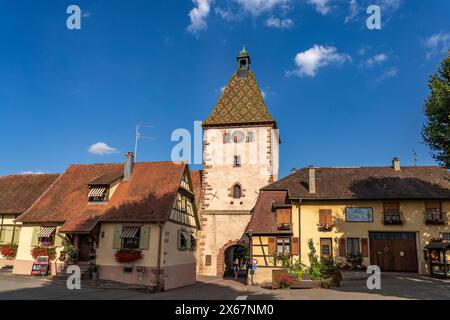 Obertor porte de la ville à Bergheim, Alsace, France Banque D'Images