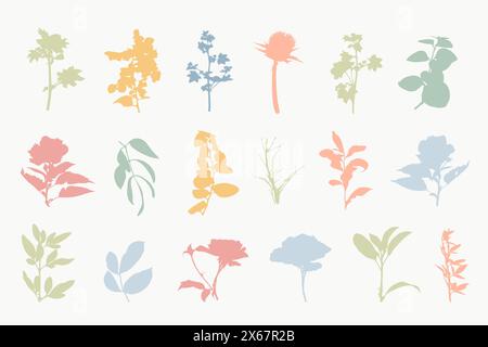 Fleurs botaniques silhouettes ensemble plantes dessinées à la main Illustration de Vecteur