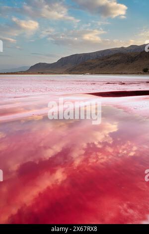 Lac Maharloo, alias le lac Pink, lac salé saisonnier riche en potassium, en saison sèche avec de l'eau rose vif. Province de Fars, Iran. Banque D'Images