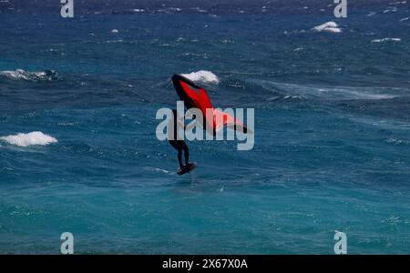 Surfeur avec un fleuret dans les vagues de la mer des Caraïbes, Lac Cai, Bonaire, Caraïbes pays-Bas Banque D'Images