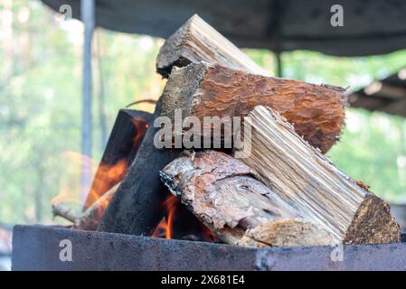 Un tas de bois brûle dans le brasero pour faire du charbon. Cottage jardin. Banque D'Images