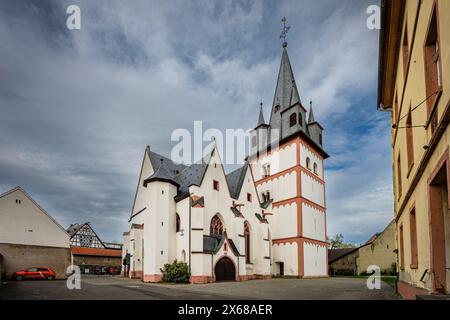 » Église catholique de Martin à Oestrich (Rheingau), église gothique tardive à trois nefs avec voûte étoilée, Hesse, Allemagne Banque D'Images