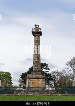 Hommage à la famille Percy pour la réduction des loyers la colonne de ténanterie Doric à Alnwick, Northumberland, Royaume-Uni, mesure 25 mètres de haut. Banque D'Images