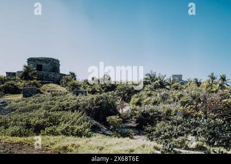 Anciennes ruines mayas à Tulum, au Mexique, sous un ciel clair Banque D'Images