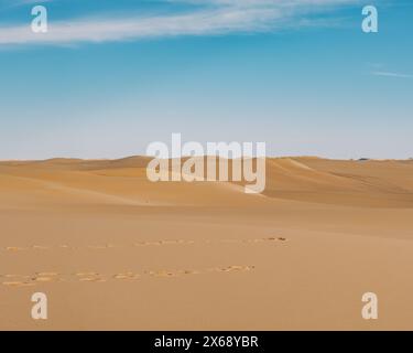 Vastes dunes de sable sous un ciel bleu clair, Sahara près de Siwa Oasis, Egypte Banque D'Images