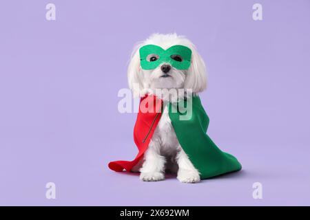 Petit chien mignon en costume de super-héros sur fond lilas Banque D'Images