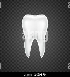 Vecteur dentaire isolé de dent graphique simple blanc réaliste. Illustration de dent simple 3D. Illustration de Vecteur