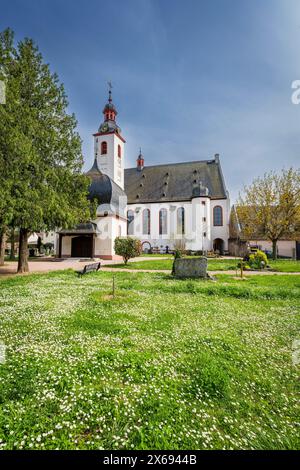 Église catholique de Walburga in Winkel dans le Rheingau, église classée avec les tombes des comtes von Greiffenclau et Karoline von Günderode Banque D'Images