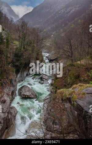 Vallée de Verzasca, Alpes suisses, rivière, rochers, eau verte, Lavertezzo, Tessin, Suisse Banque D'Images