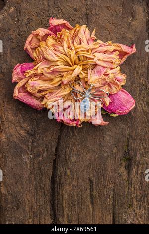 Grande abeille décorative en métal sur une fleur de dahlia séchée Banque D'Images