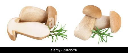 Champignon cep de porcini frais isolé sur fond blanc avec pleine profondeur de champ Banque D'Images