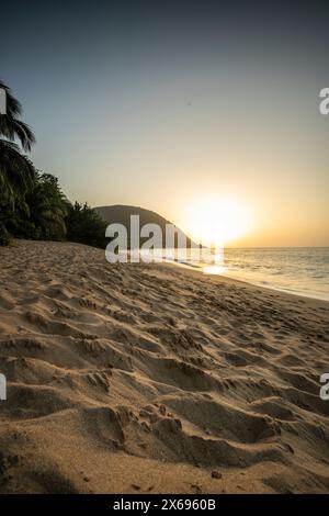 Guadeloupe, une île caribéenne aux Antilles françaises. Vue sur la plage de Grande Anse. Baie solitaire, pieds dans le sable et vue sur la mer au coucher du soleil. Vue paysage d'un rêve tropical, vagues, palmiers Banque D'Images