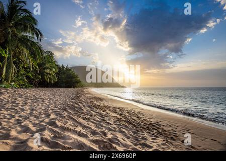 Guadeloupe, une île caribéenne aux Antilles françaises. Vue sur la plage de Grande Anse. Baie solitaire, pieds dans le sable et vue sur la mer au coucher du soleil. Vue paysage d'un rêve tropical, vagues, palmiers Banque D'Images