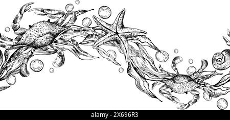 Crabes bleus, algues en forme de vague avec étoiles de mer et bulles d'eau. Illustration graphique dessinée à la main à l'encre noire. Vecteur EPS de bordure de modèle sans couture. Illustration de Vecteur