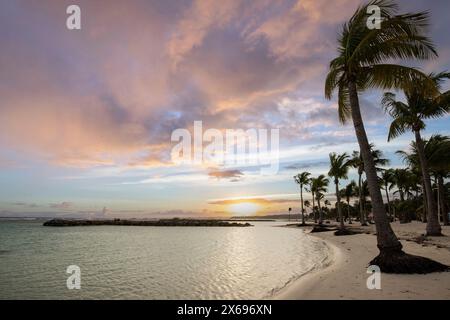 Plage de rêve des Caraïbes avec des palmiers, plage de sable blanc et turquoise, eau cristalline dans la mer. Baie peu profonde au coucher du soleil. Plage de Sainte Anne, Grande Terre, Guadeloupe, Antilles françaises Banque D'Images