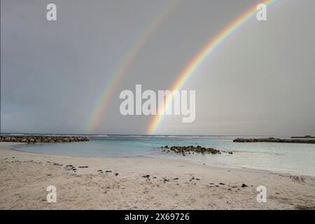 Plage de rêve des Caraïbes avec des palmiers, plage de sable blanc et turquoise, eau cristalline dans la mer. Baie peu profonde avec arc-en-ciel. Plage de Sainte Anne, Grande Terre, Guadeloupe, Antilles françaises Banque D'Images