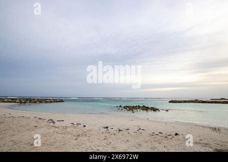 Plage de rêve des Caraïbes avec des palmiers, plage de sable blanc et turquoise, eau cristalline dans la mer. Baie peu profonde au coucher du soleil. Plage de Sainte Anne, Grande Terre, Guadeloupe, Antilles françaises Banque D'Images