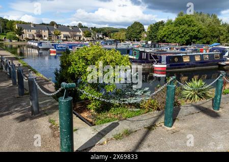 Péniches (bateaux étroits, bateaux à fond plat, bateaux de canal) amarrés à Apperley Bridge Marina, Yorkshire. Cette marina se trouve sur le canal Leeds Liverpool. Banque D'Images