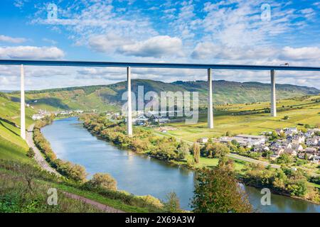 Zeltingen-Rachtig, Hochmoselbrücke (Pont de la haute Moselle), Moselle (Moselle), élevage, vignoble, région de Moselle, Rhénanie-Palatinat, Allemagne Banque D'Images