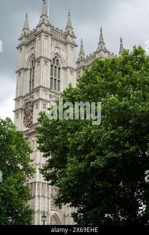 Londres Angleterre Royaume-Uni ; Abbaye de Westminster ; tour d'église cachée derrière un arbre vert ; arbre vert obscurcit le tour d'église Banque D'Images