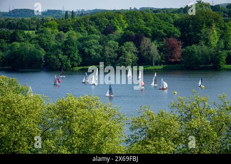 Voiliers sur le lac Baldeney à Essen, NRW, Allemagne, Banque D'Images
