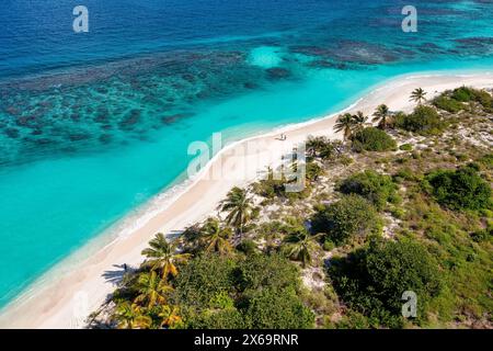 Vue aérienne sur les eaux turquoises et les palmiers le long de Shoal Bay Beach à Anguilla. Banque D'Images