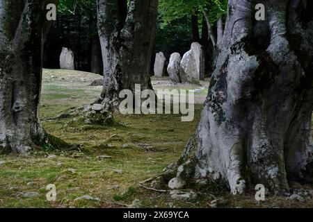 Balnuaran de Clava Cairns près d'Inverness, Écosse. Des anneaux de pierre debout érigés autour de la tombe du passage circulaire sud après qu'elle soit devenue hors d'usage Banque D'Images