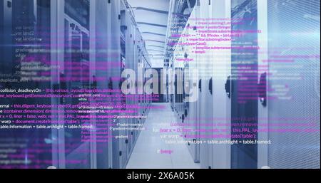 Image de langages informatiques de programmation se déplaçant sur des systèmes de serveur de données Banque D'Images