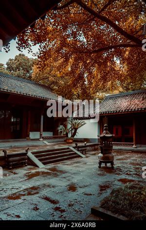 Temple chinois le matin ; architecture chinoise Banque D'Images