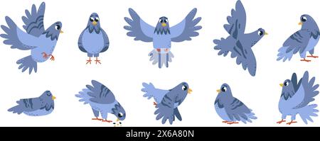 Pigeon de dessin animé. Oiseaux isolés, pigeons émotionnels volant mangeant et dormant. Plongez dans différentes poses. Oiseau de rue urbain, ensemble vectoriel chic Illustration de Vecteur