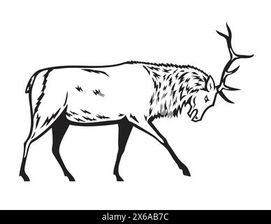 Illustration mascotte d'un wapiti taureau, Cervus canadensis, ou wapiti, une espèce de la famille des cerfs, Cervidae en position de combat vue de côté sur iso Illustration de Vecteur