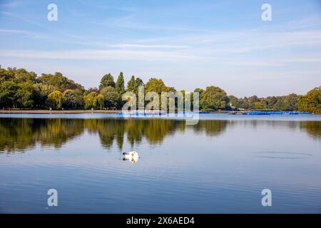 Hyde Park Londres, le lac Serpentine dans ce parc royal par une chaude journée de septembre, centre de Londres, Angleterre, Royaume-Uni, 2023 Banque D'Images