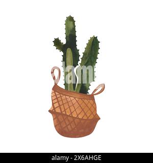 Cactus dans un panier en osier. Plantes pour la maison. Floriculture. Décoration intérieure. Illustration d'aquarelle isolée sur fond blanc. Clipart. Banque D'Images