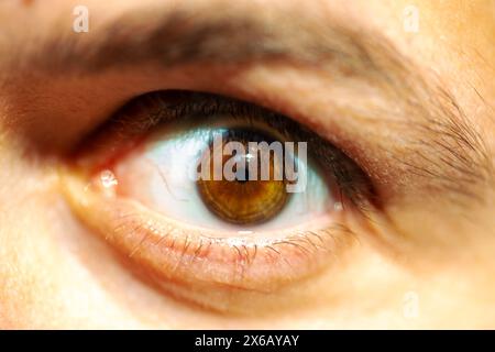 Une photo macro captivante révélant les détails complexes de l'œil brun d'un homme, évoquant la profondeur et l'émotion. Banque D'Images