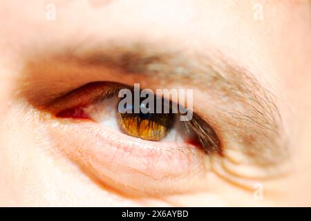 Une photo macro captivante révélant les détails complexes de l'œil brun d'un homme, évoquant la profondeur et l'émotion. Banque D'Images