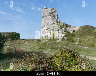 Nicodemus Knob, un pilier rocheux de 10 m de haut provenant de la carrière de Portland Stone aux Amiralty Quarries, Grove, île de Portland, Dorset, Royaume-Uni, octobre Banque D'Images