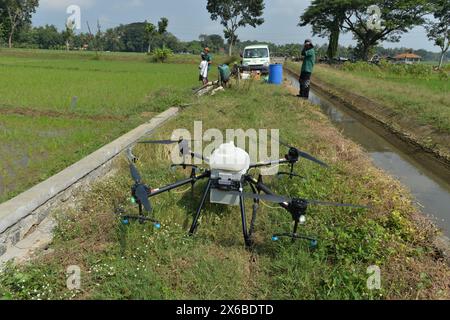 13 mai 2024, Purworejo, Java central, Indonésie : les opérateurs de drones commencent à préparer des pesticides liquides et des engrais liquides pour les plants de riz qui seront pulvérisés sur 35 hectares de rizières dans le village de Sruwoh, sous-district de Ngombol, Purworejo, Java central le 13 mai 2024, certains agriculteurs locaux ont commencé à utiliser des drones pour fertiliser les cultures et également pulvériser du liquide antiparasitaire sur les plants de riz, ce qui est considéré comme plus efficace et efficient car cela ne prend en moyenne que 15-20 minutes sur 2 hectares de terre en aidant à augmenter les rendements des cultures ainsi que la main-d’œuvre et l'efficacité du temps, le réservoir de drone agricole Banque D'Images