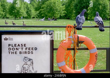 Londres, Royaume-Uni. S'il vous plaît ne pas nourrir le panneau des oiseaux dans les jardins de Kensington, avec des oiseaux. Photo de Quentin Black Banque D'Images