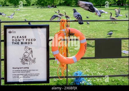Londres, Royaume-Uni. S'il vous plaît ne pas nourrir le panneau des oiseaux dans les jardins de Kensington, avec des oiseaux. Photo de Quentin Black Banque D'Images