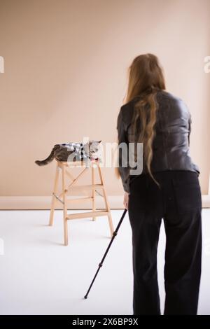 Photographe faire photo Un chat écossais à oreilles droites en costume et une cravate rouge est assis sur une chaise dans un studio de production vidéo blanc, vertical Banque D'Images