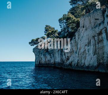 Arbre solitaire au sommet de falaises de calcaire accidentées contre une mer bleue Banque D'Images