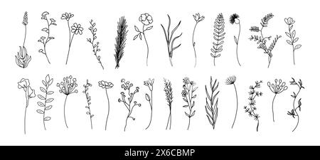 Ensemble de minuscules fleurs sauvages et plantes alignent l'art Illustration de Vecteur