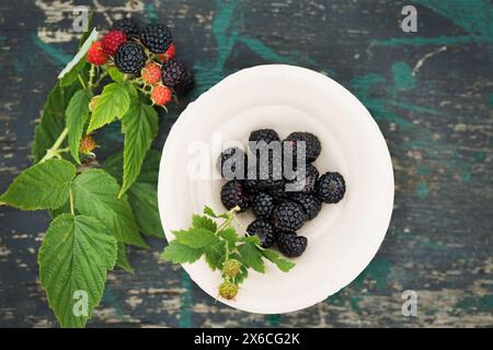 Framboises sauvages de forêt noire dans un bol en argile sur une vieille table en bois Banque D'Images